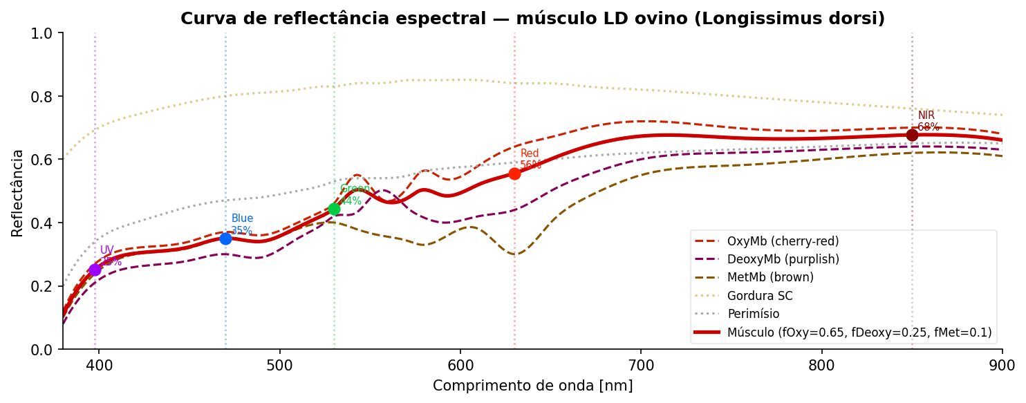 Espectros de reflectância do músculo LD (mistura de mioglobina), frações OxyMb/DeoxyMb/MetMb, gordura SC e perimísio. Pontos coloridos marcam as cinco bandas LED amostradas pelo cabeçote.