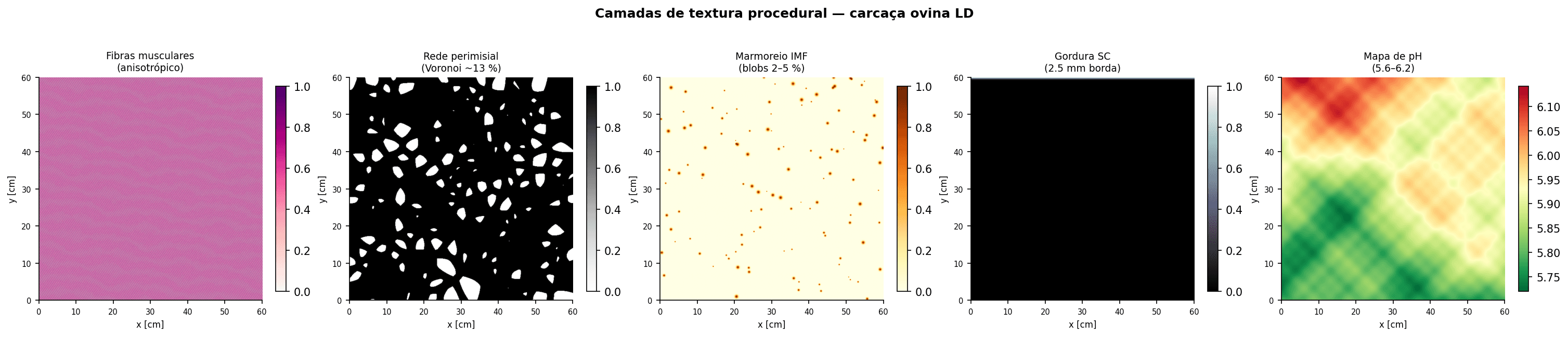 Camadas procedurais da superfície de Longissimus dorsi ovina: fibras, perimísio, IMF, SC e mapa de pH. A composição ponderada dessas máscaras define R(λ,x,y) em cada pixel.