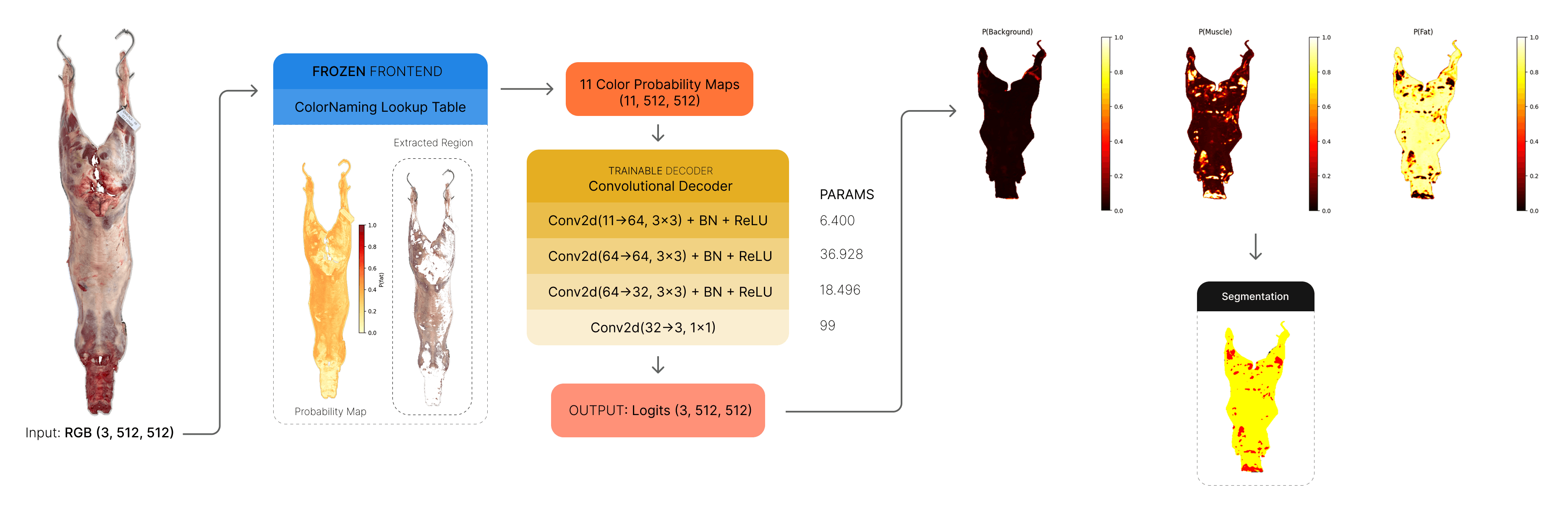 Arquitetura de segmentação multiclasse. O frontend ColorNaming transforma cada pixel RGB em 11 valores de probabilidade de cor. O decoder produz probabilidades por pixel para fundo, músculo e gordura.