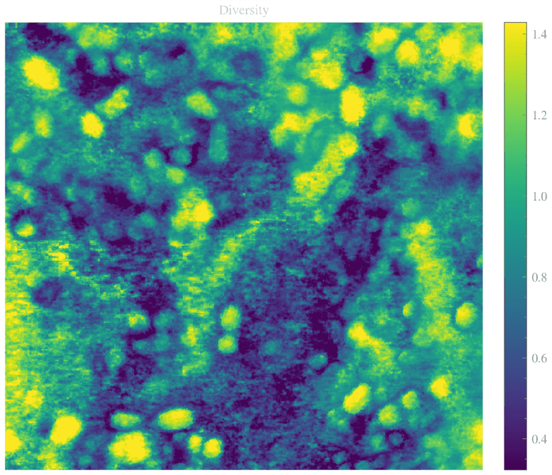 Diversity: heterogeneidade espectral entre bandas.